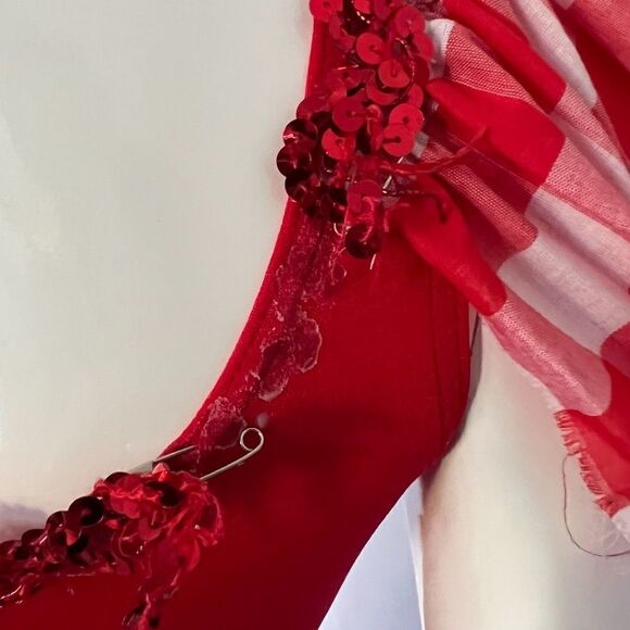 Vintage 90s Dolly Parton Picnic Southern Plaid Dance Figure Skating Costume - Picture 9 of 13